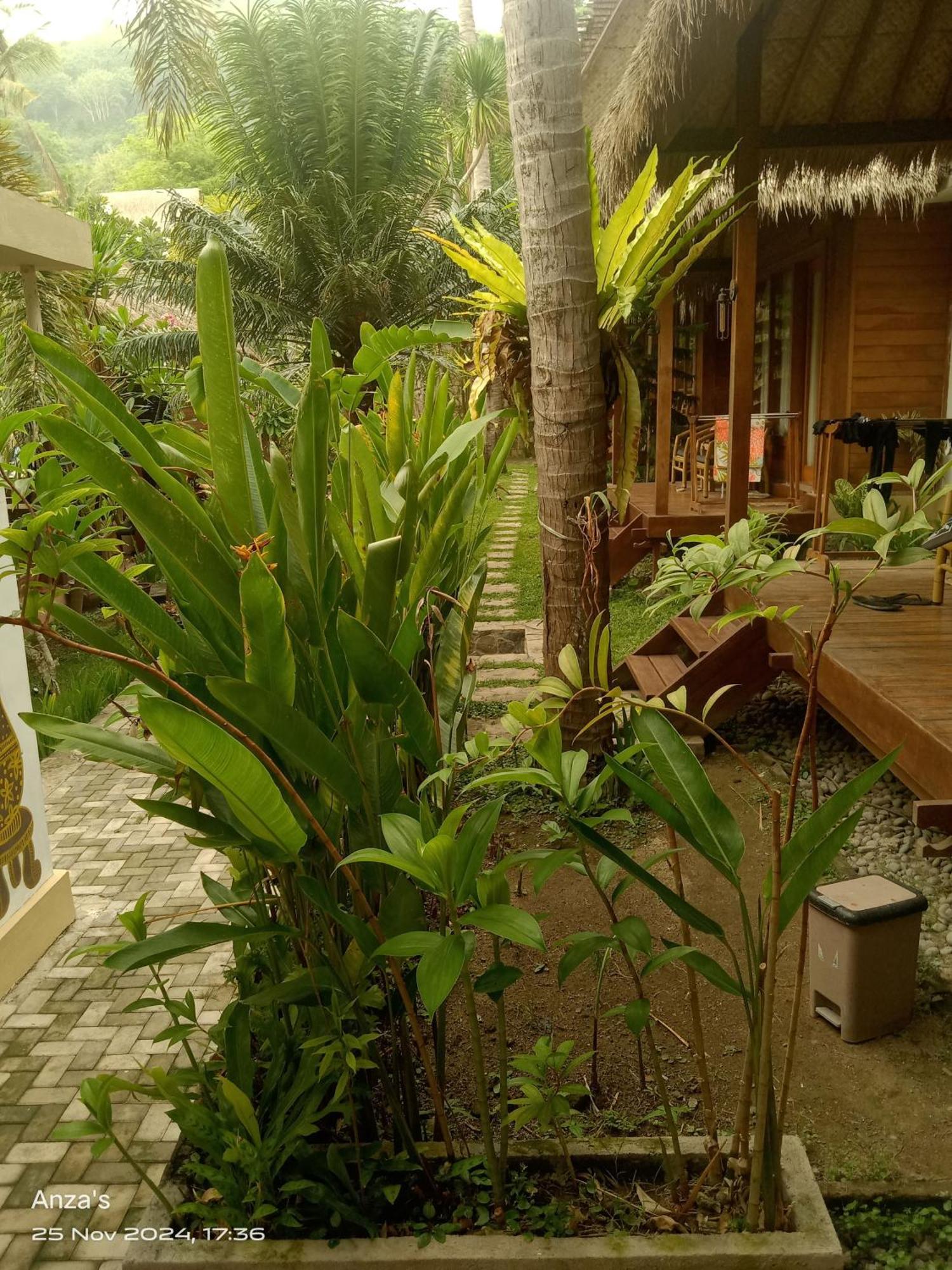 Village Vibes Lombok Kuta  Eksteriør bilde